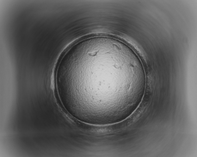 X0000102460791200808151406