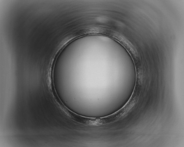 X0000102460794200808151406