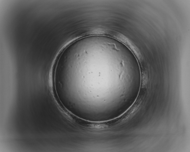 X0000102460795200808151406