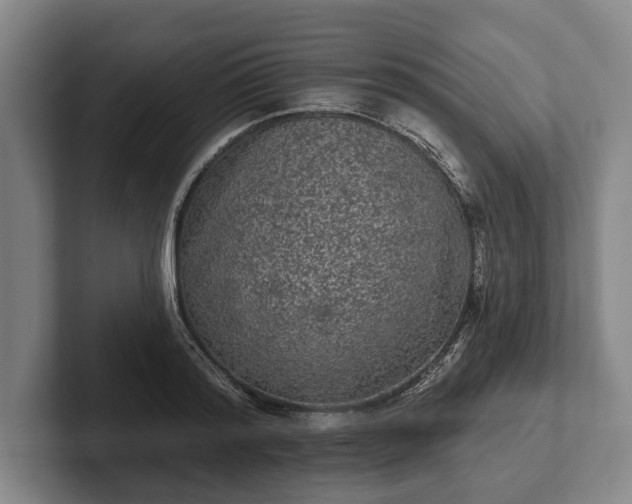 X0000102460796200808151406