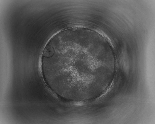 X0000102460798200808151406