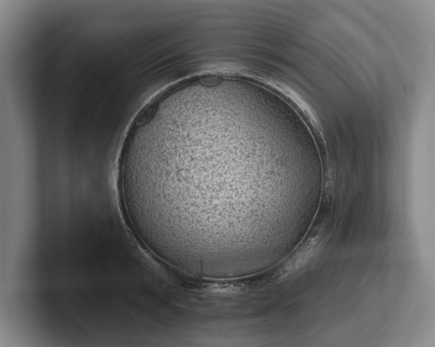 X0000102460799200808151406