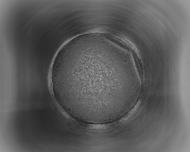 X0000102460800200808151406