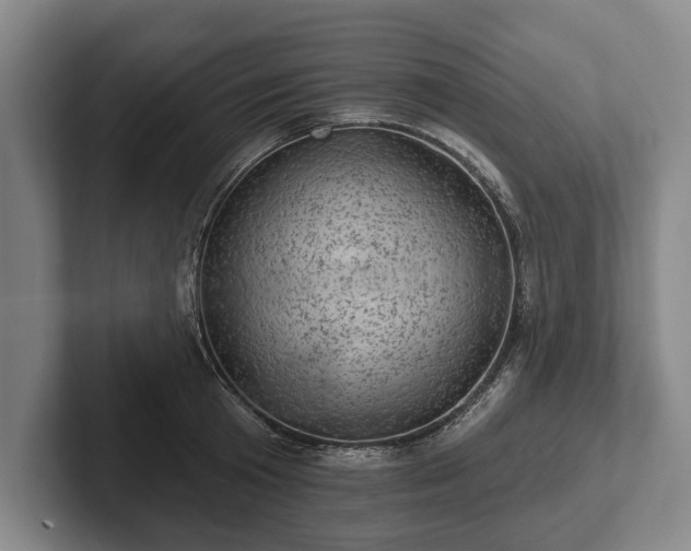 X0000102460801200808151406