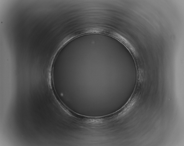 X0000102460802200808151406