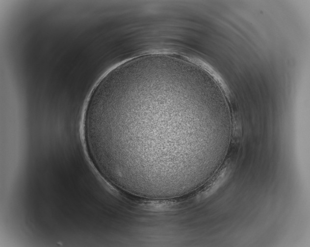 X0000102460803200808151406