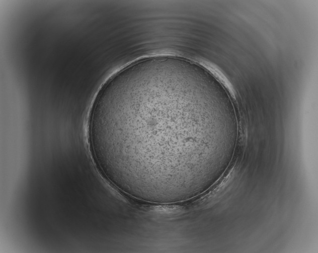 X0000102460805200808151406