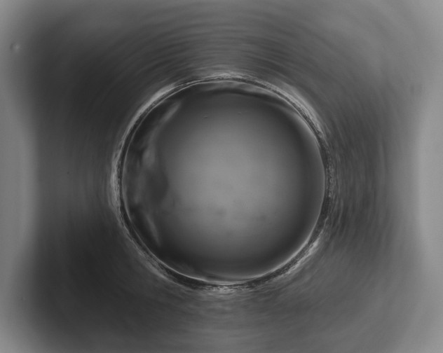 X0000102460806200808151406