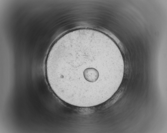 X0000102460807200808151406