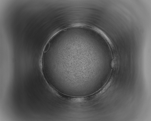 X0000102460810200808151406