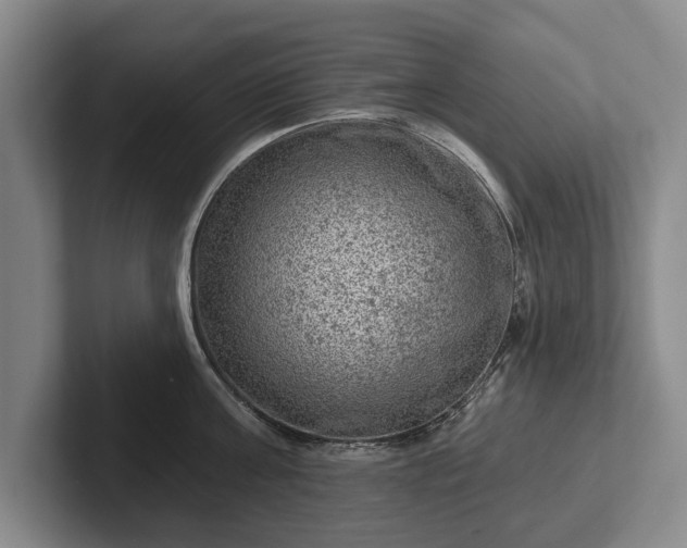 X0000102460811200808151406