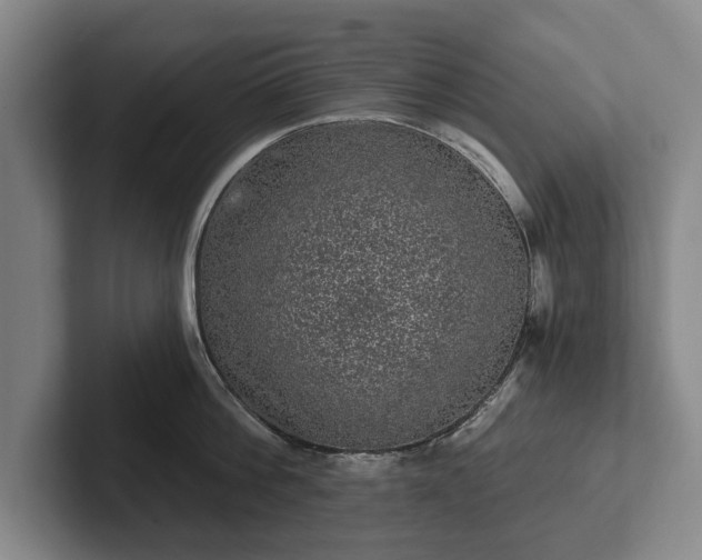 X0000102460812200808151406