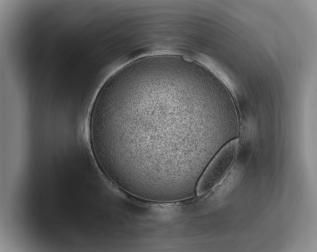 X0000102460813200808151406