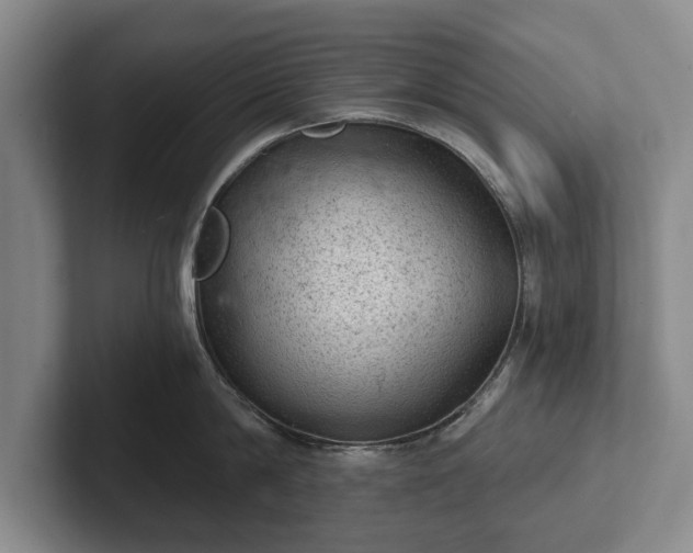 X0000102460814200808151406