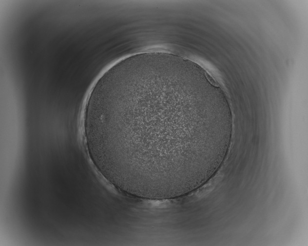 X0000102460816200808151406