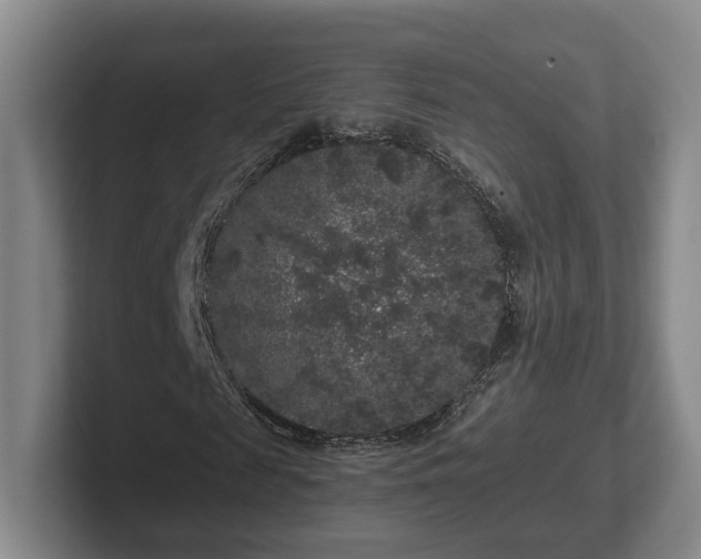 X0000102460817200808151405