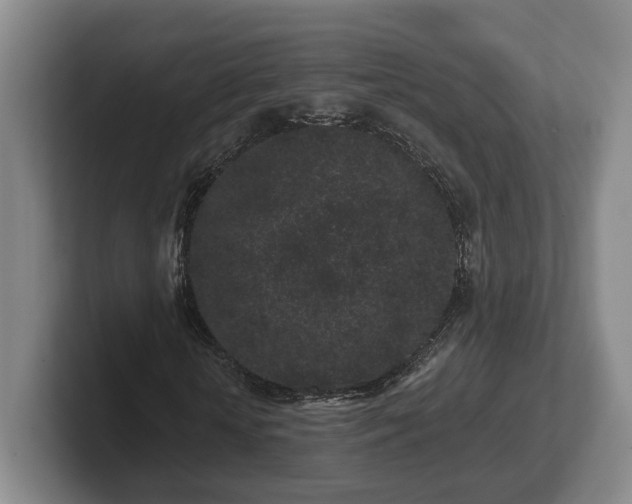 X0000102460818200808151405