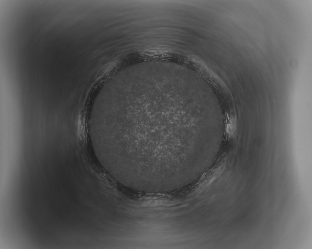 X0000102460819200808151405