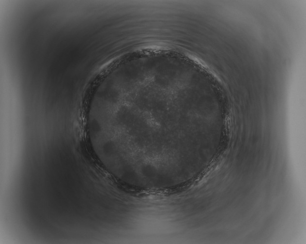 X0000102460822200808151405