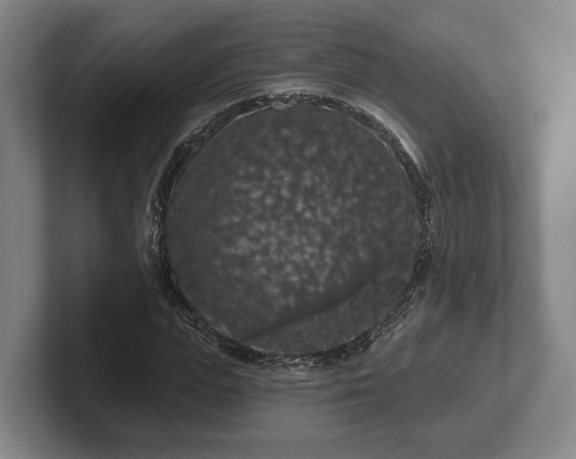 X0000102460823200808151405