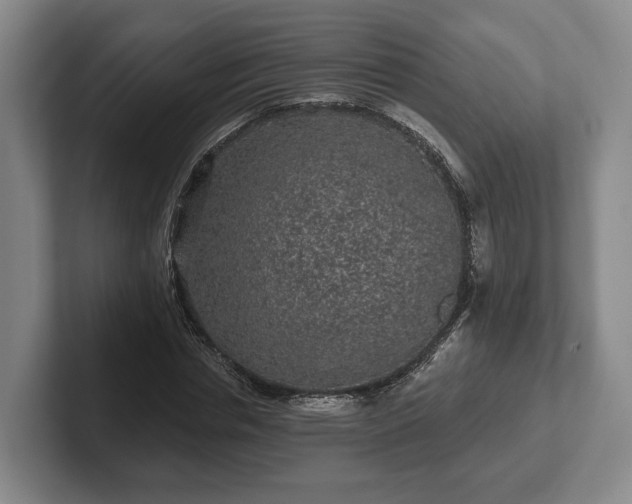 X0000102460826200808151405