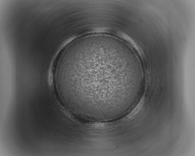 X0000102460827200808151405