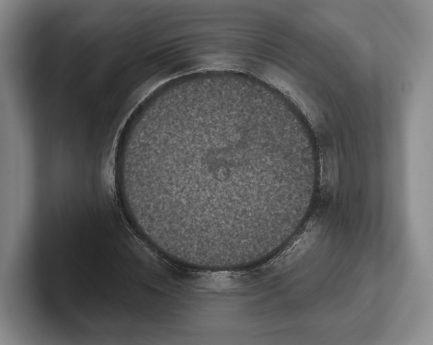 X0000102460828200808151405