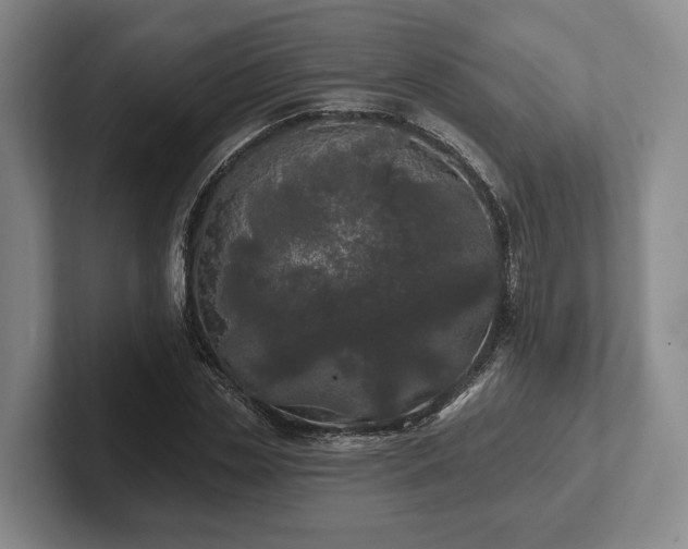 X0000102460829200808151405