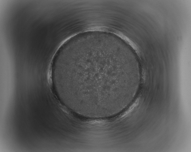 X0000102460830200808151405