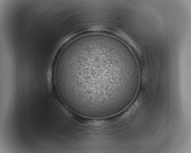 X0000102460831200808151405