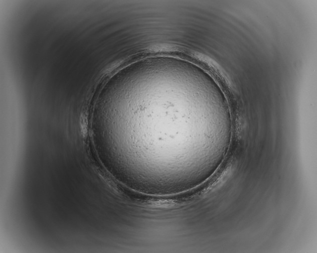 X0000102460833200808151405