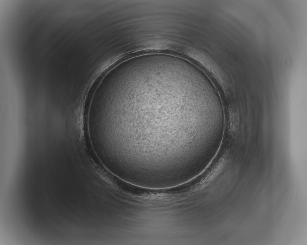 X0000102460834200808151405