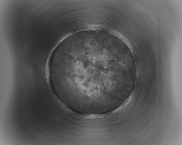 X0000102460835200808151405