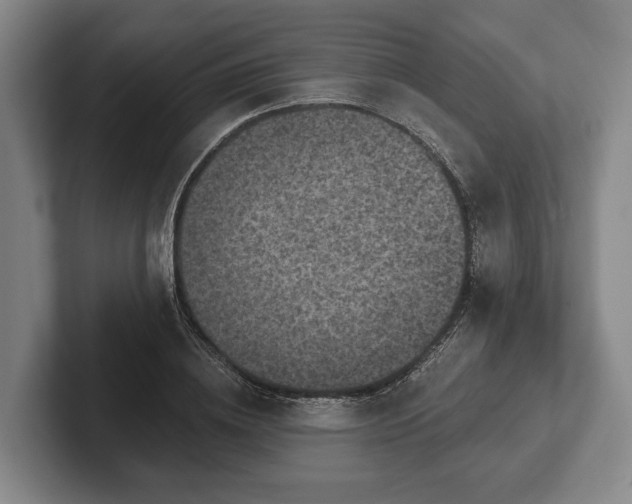 X0000102460836200808151405