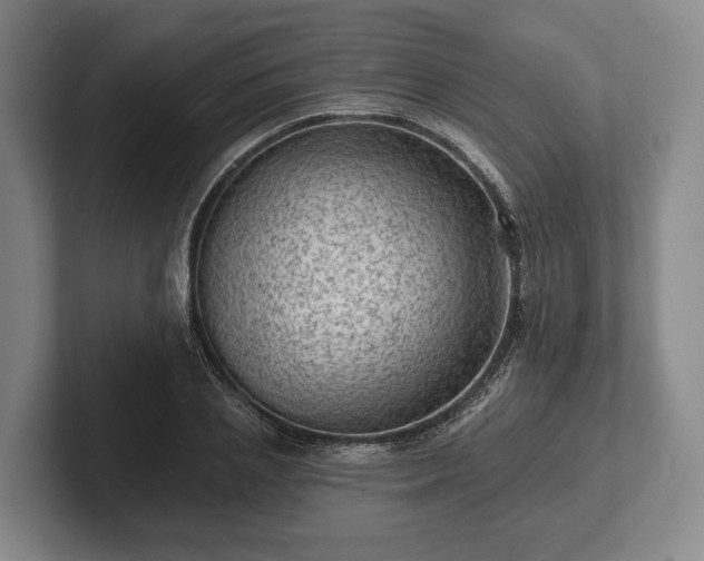 X0000102460837200808151405