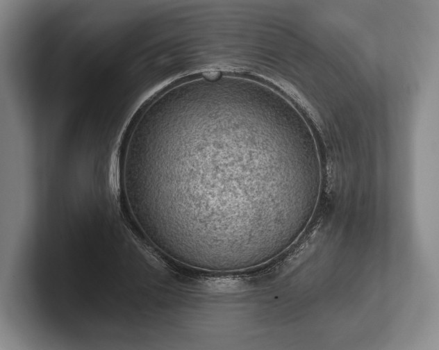 X0000102460838200808151406