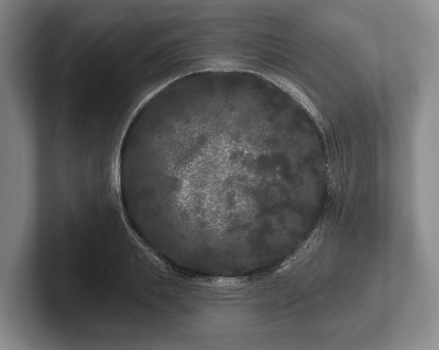 X0000102460839200808151406