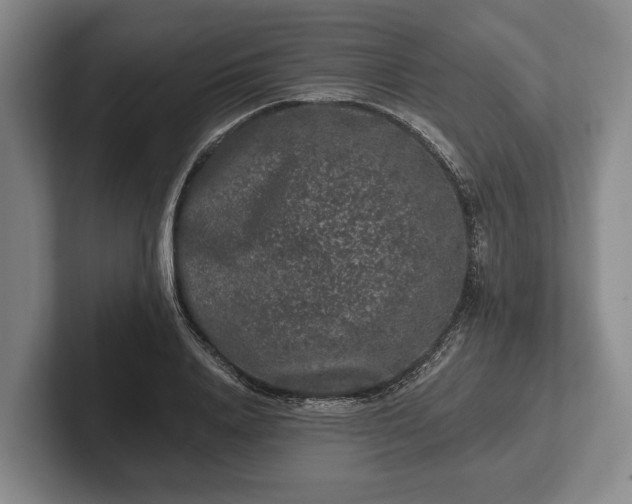 X0000102460840200808151406