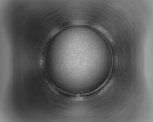 X0000102460841200808151406