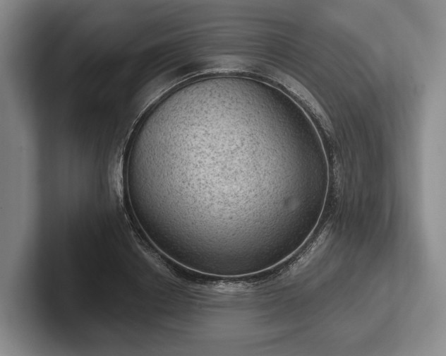 X0000102460842200808151406