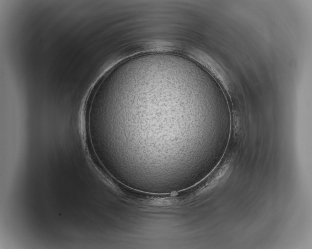 X0000102460843200808151406