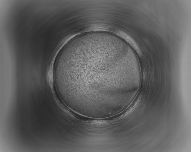 X0000102460844200808151406