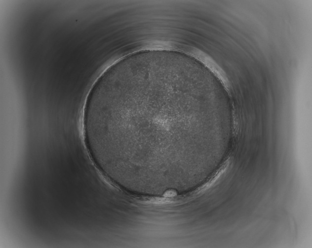 X0000102460845200808151406