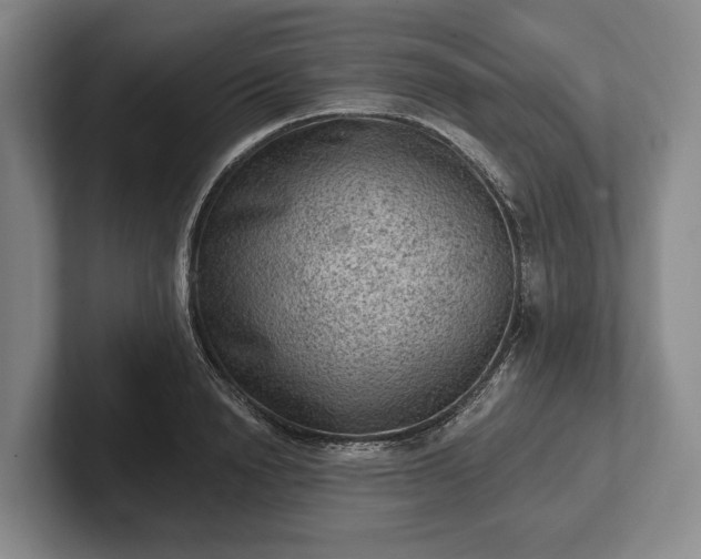 X0000102460846200808151406