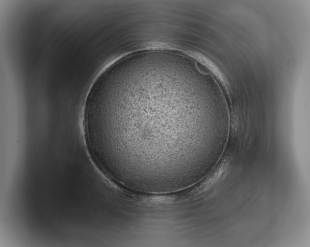 X0000102460847200808151406