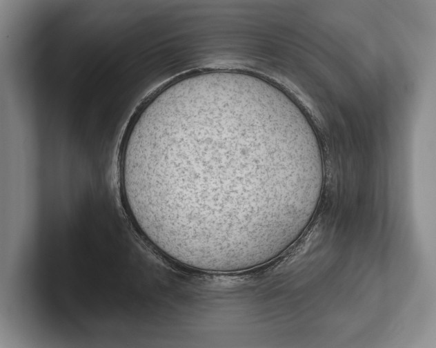 X0000102460848200808151406