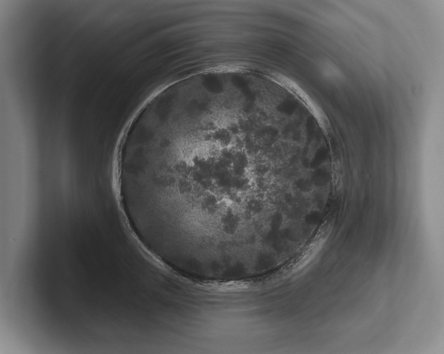 X0000102460851200808151406