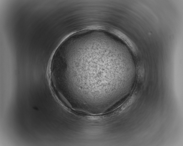 X0000102460852200808151406