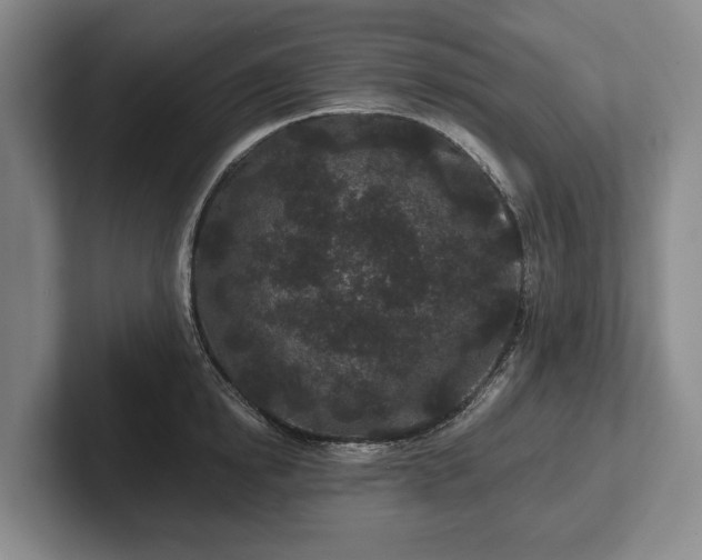 X0000102460854200808151406