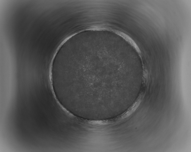 X0000102460855200808151406